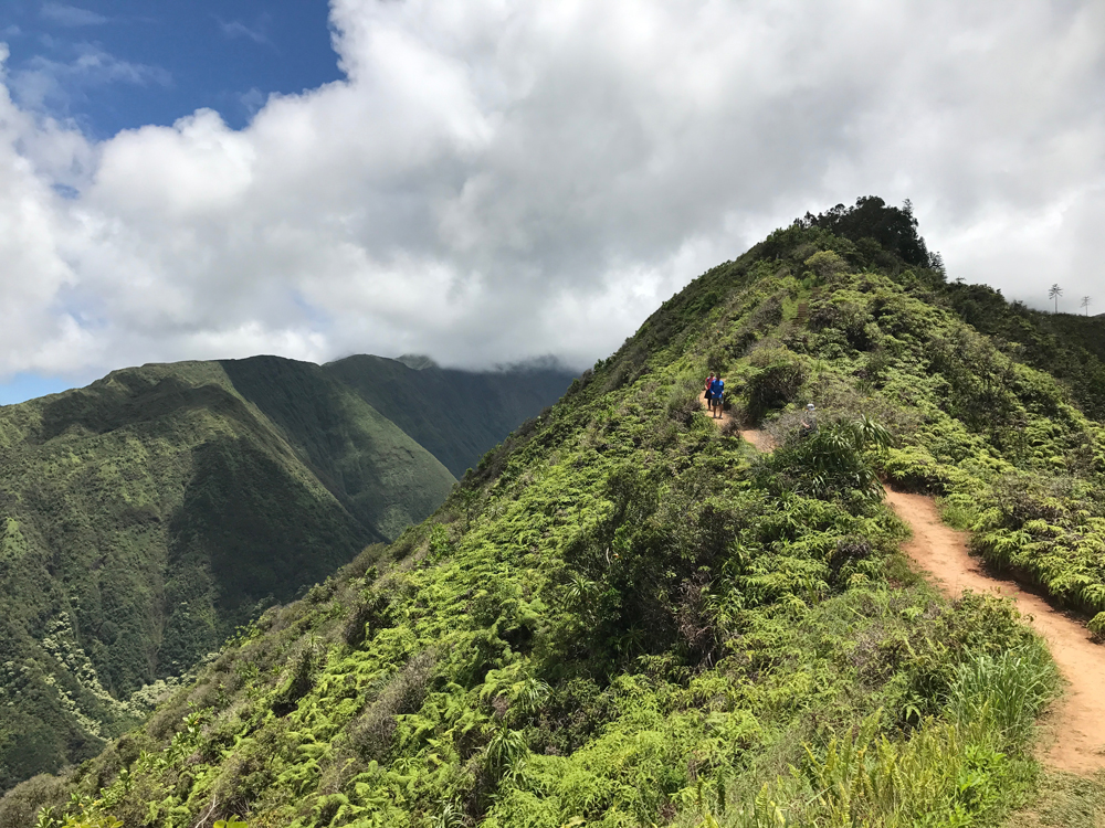 L’Île de Maui – Hawaii (USA)