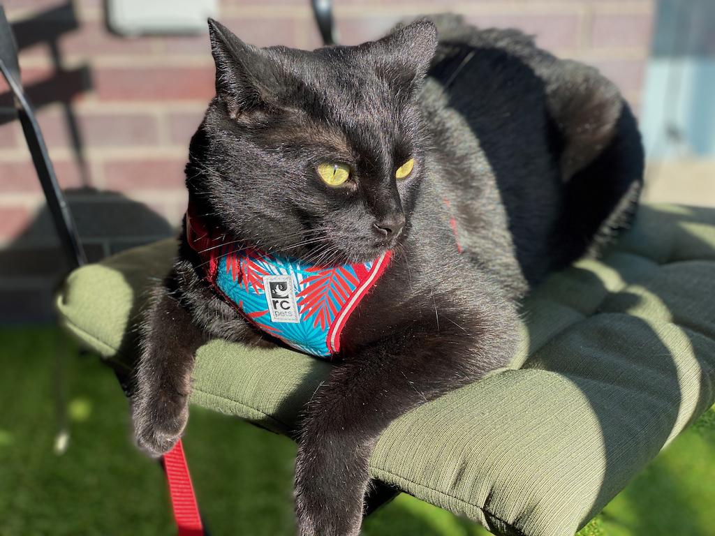 salem sur le balcon