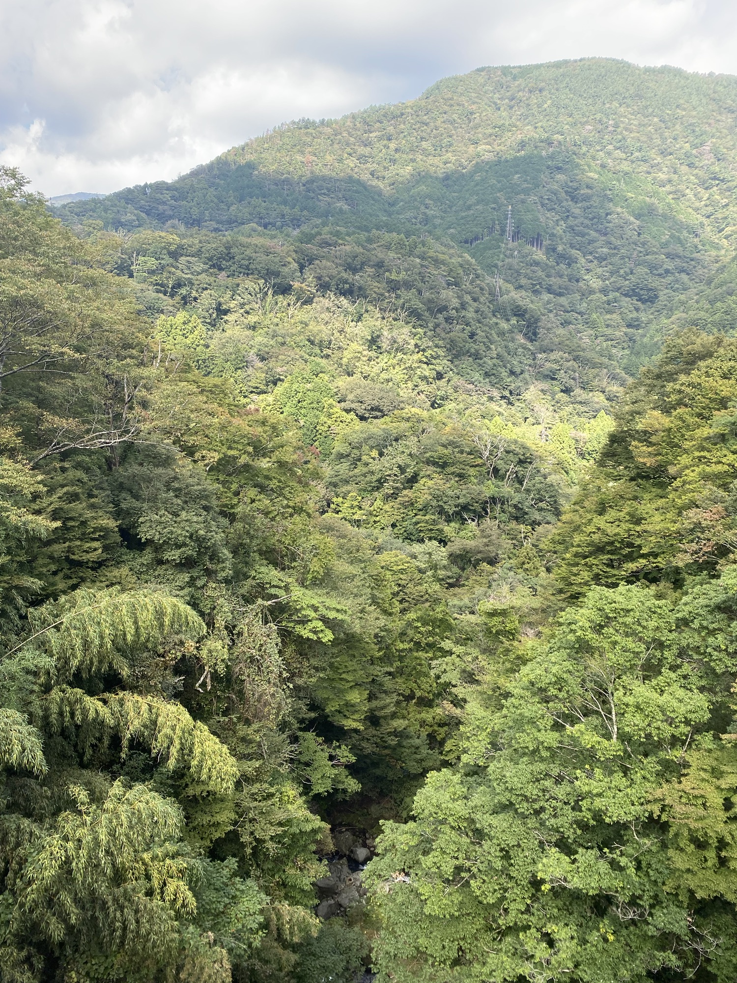 hakone